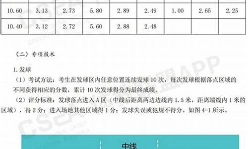 中考排球评分标准_湖南体育中考排球评分标准